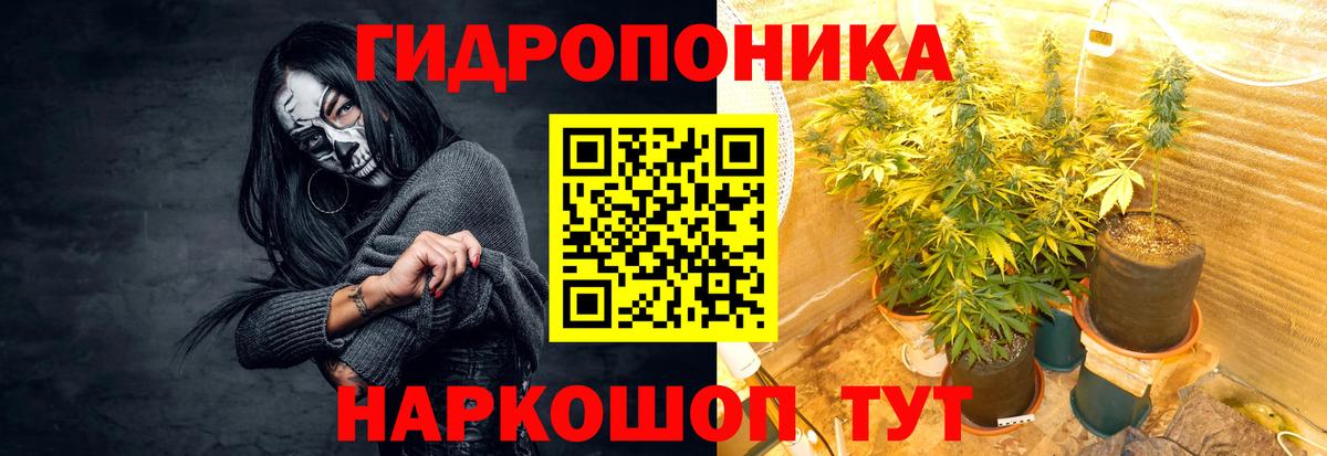 Бошки марихуана гибрид Благовещенск